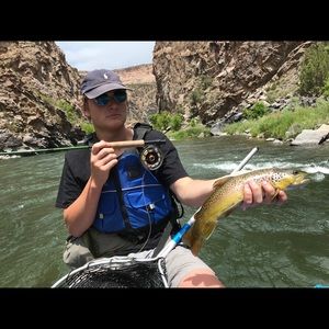 Meet your Posher, Joey